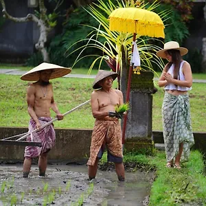 umae-villa-ubud-bali.ubudhotelsnow.com/